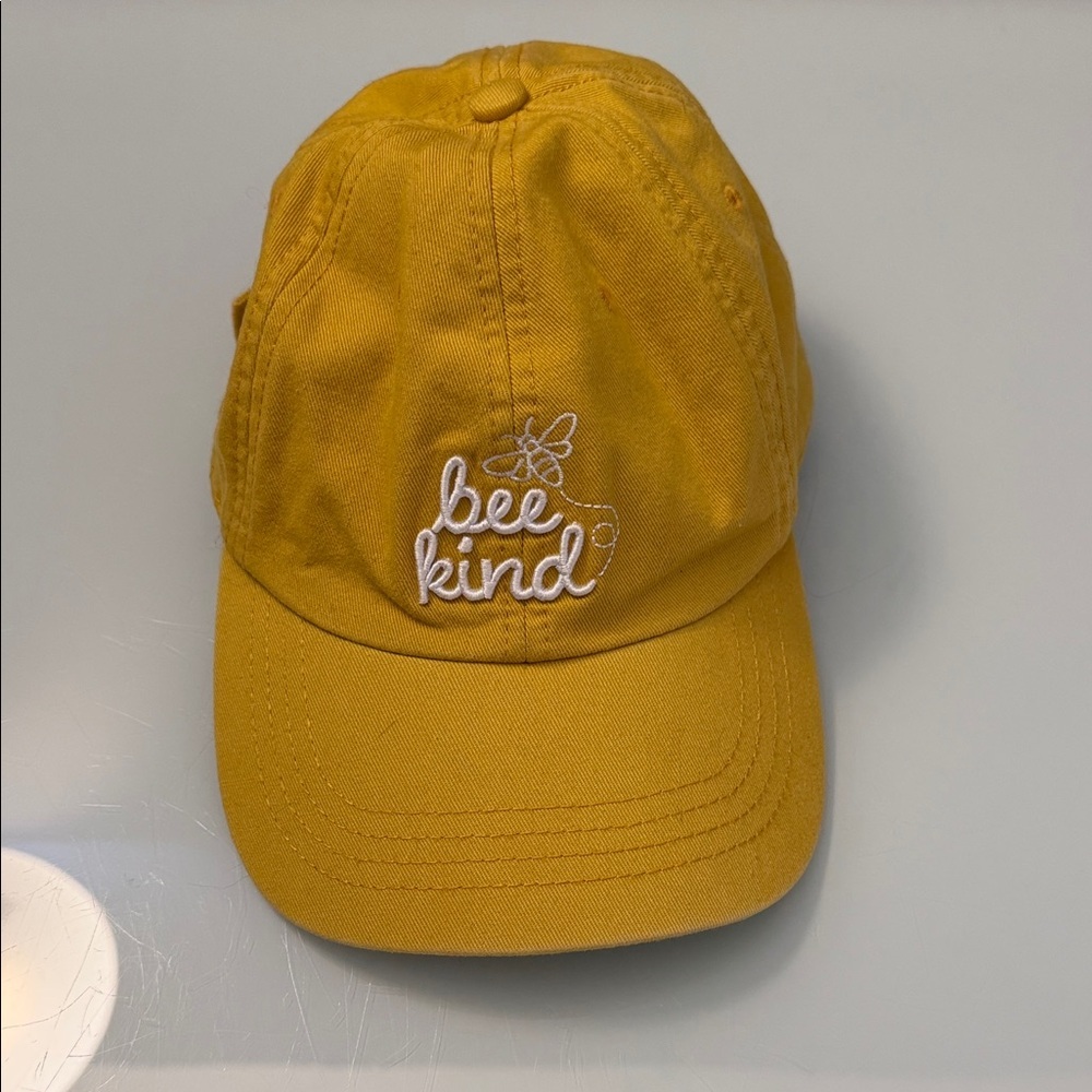 State of Mine Bee Kind Ball Cap
